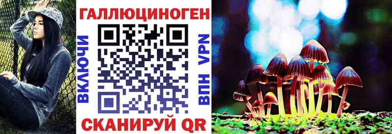 Купить закладки  Кандалакша  Галлюциногенные грибы Cubensis 